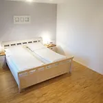 Tuexen 3*